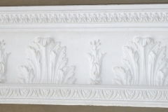Akanthus 1