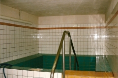 Saunabecken vor Beginn der Arbeiten